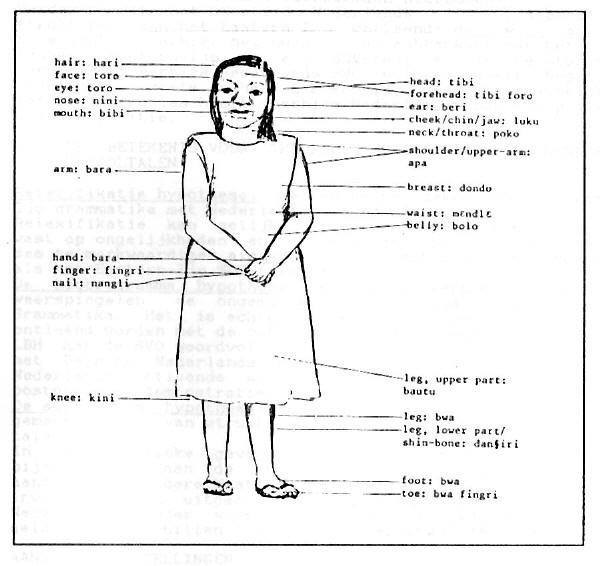 11242337_880064238697803_498351661992375013_n